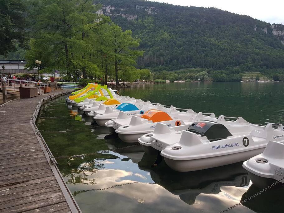 Joli Appartement En Face De Lac Nantua Zewnętrze zdjęcie